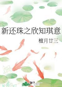 新还珠格格欣荣永琪视频